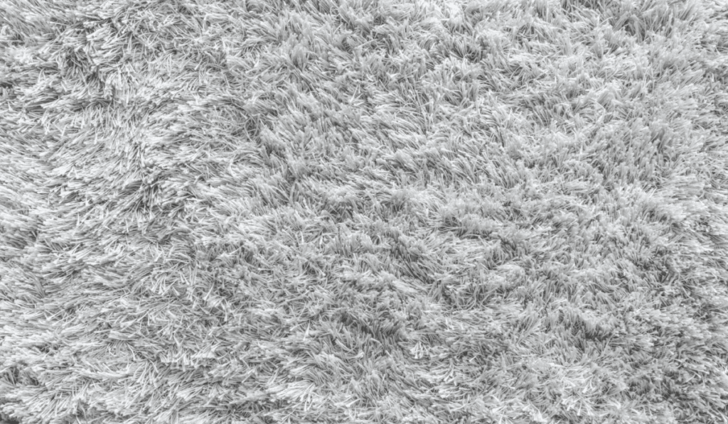 Carpets