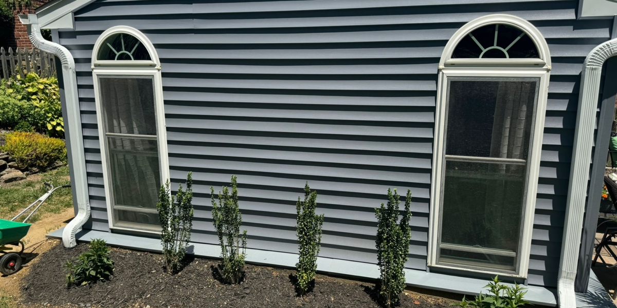 IMG-20240629-WA0015