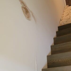 IMG-20230726-WA0009