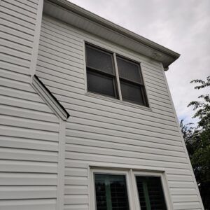 IMG_20200701_081948