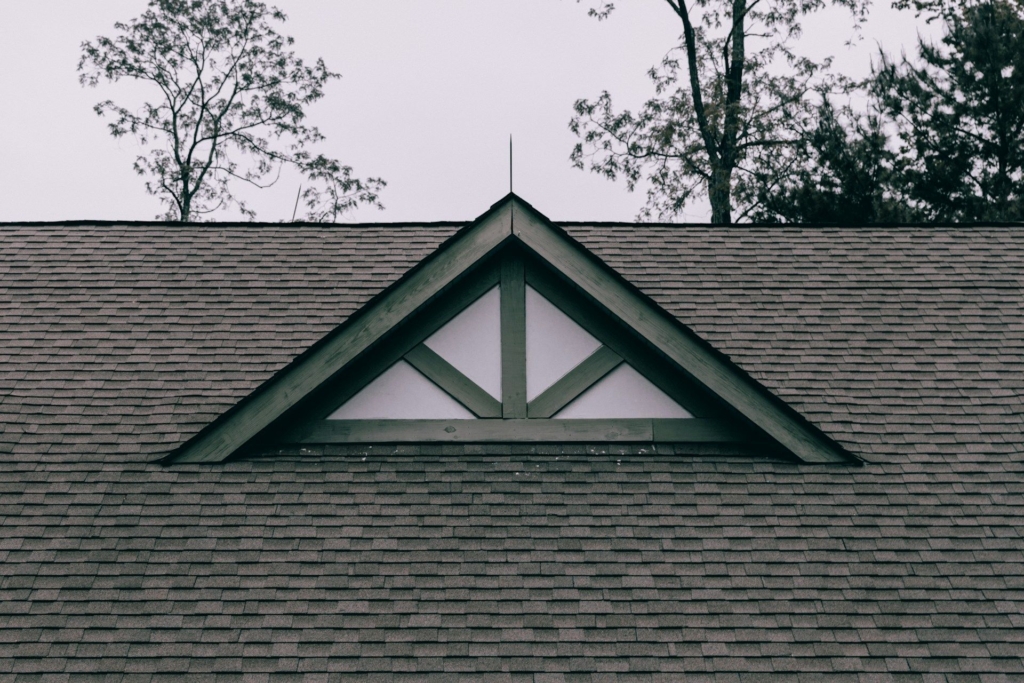 yucel-moran-TnhkSNZPXd8-unsplash